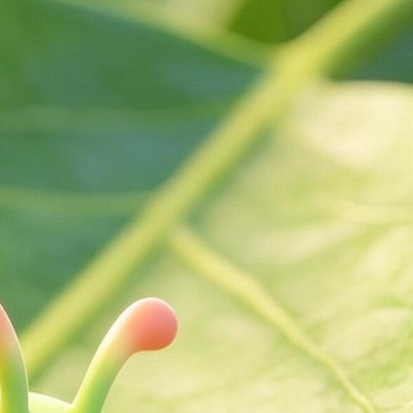 日行一善  💫阳光信用  💫﻿日行一善 善良的人，就象一盏明灯，既照亮了周围