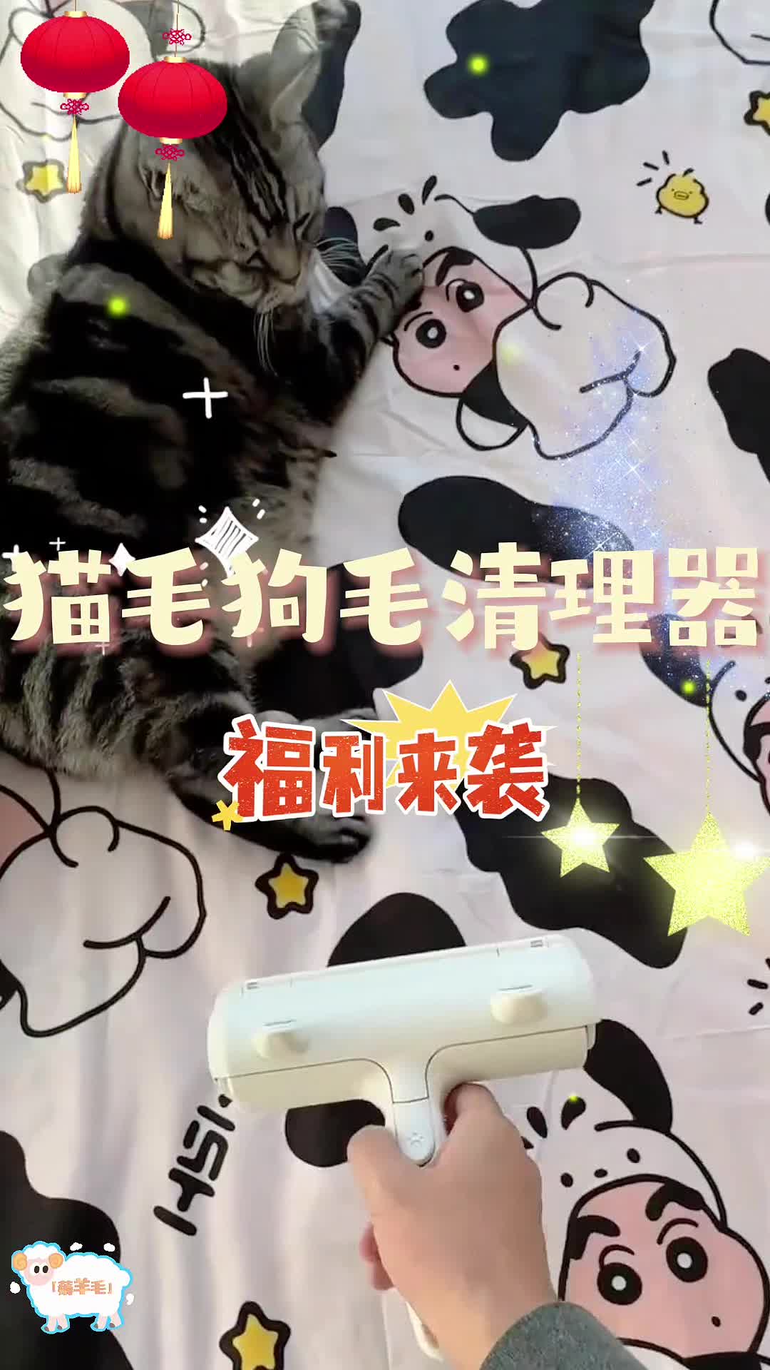 给你看一下一只猫躺过的床是什么样的状态