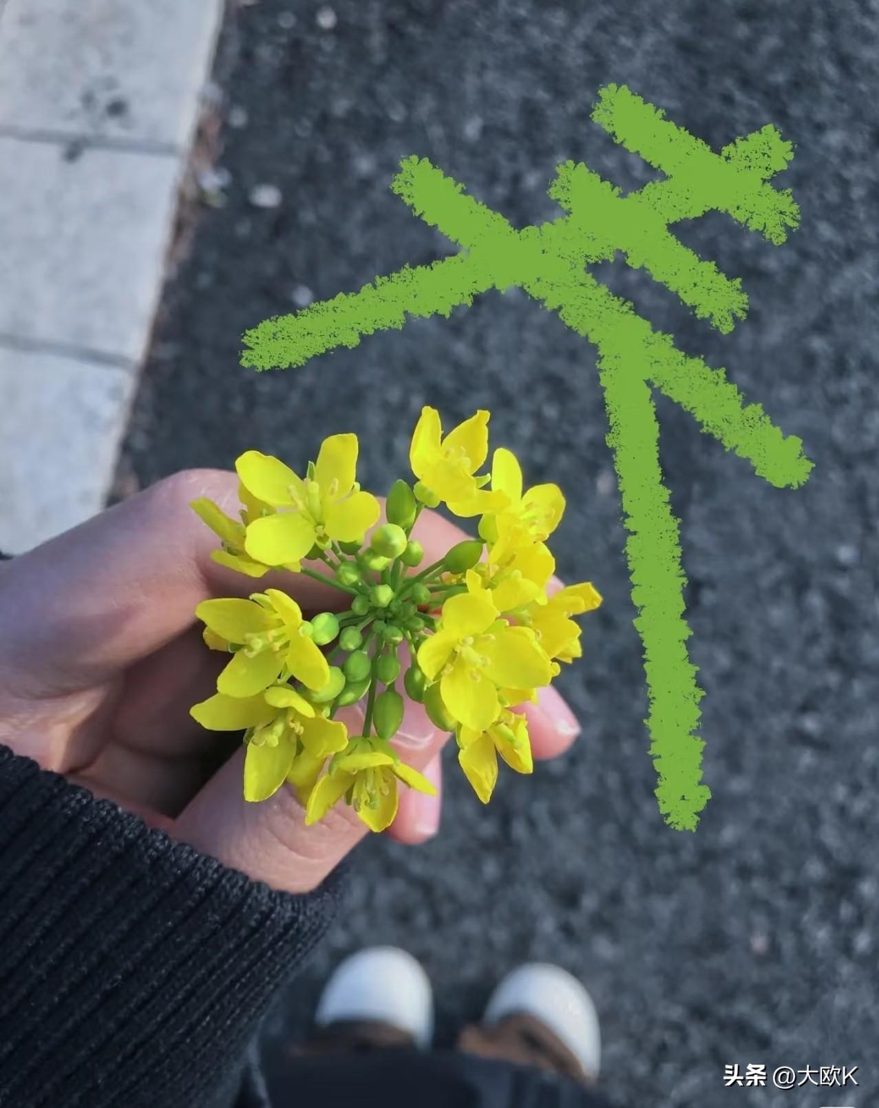 人随春好，春与人宜。
风是软的，阳是暖的，日子是慢慢变好的。
走过冬的沉淀，
终