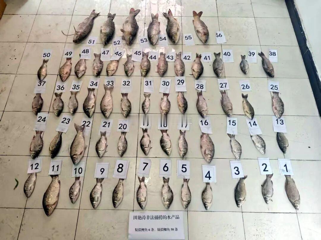兰州公安严打黄河水域非法捕捞兰州公安推进 “中国渔政亮剑” 专项行动，对非法捕捞