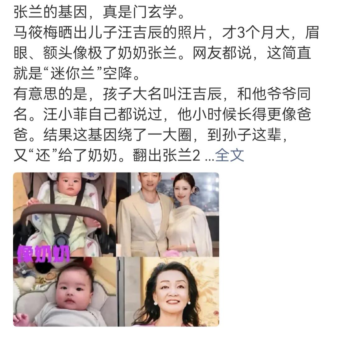 网友表示汪小菲也是无奈了怕啥来啥，儿子小汪宝侧面竟然像极了奶奶。其实长得像张兰也