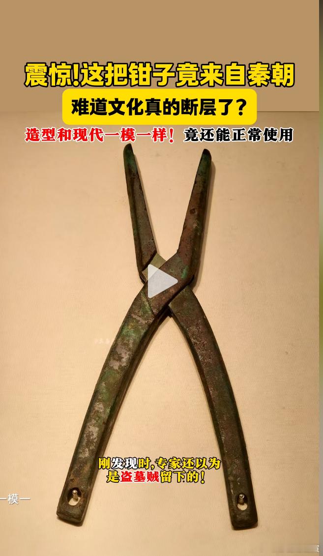 王莽说，你们这些不争气的后代，被外族殖民统治，华夏文明断代了，还说什么老子是穿越