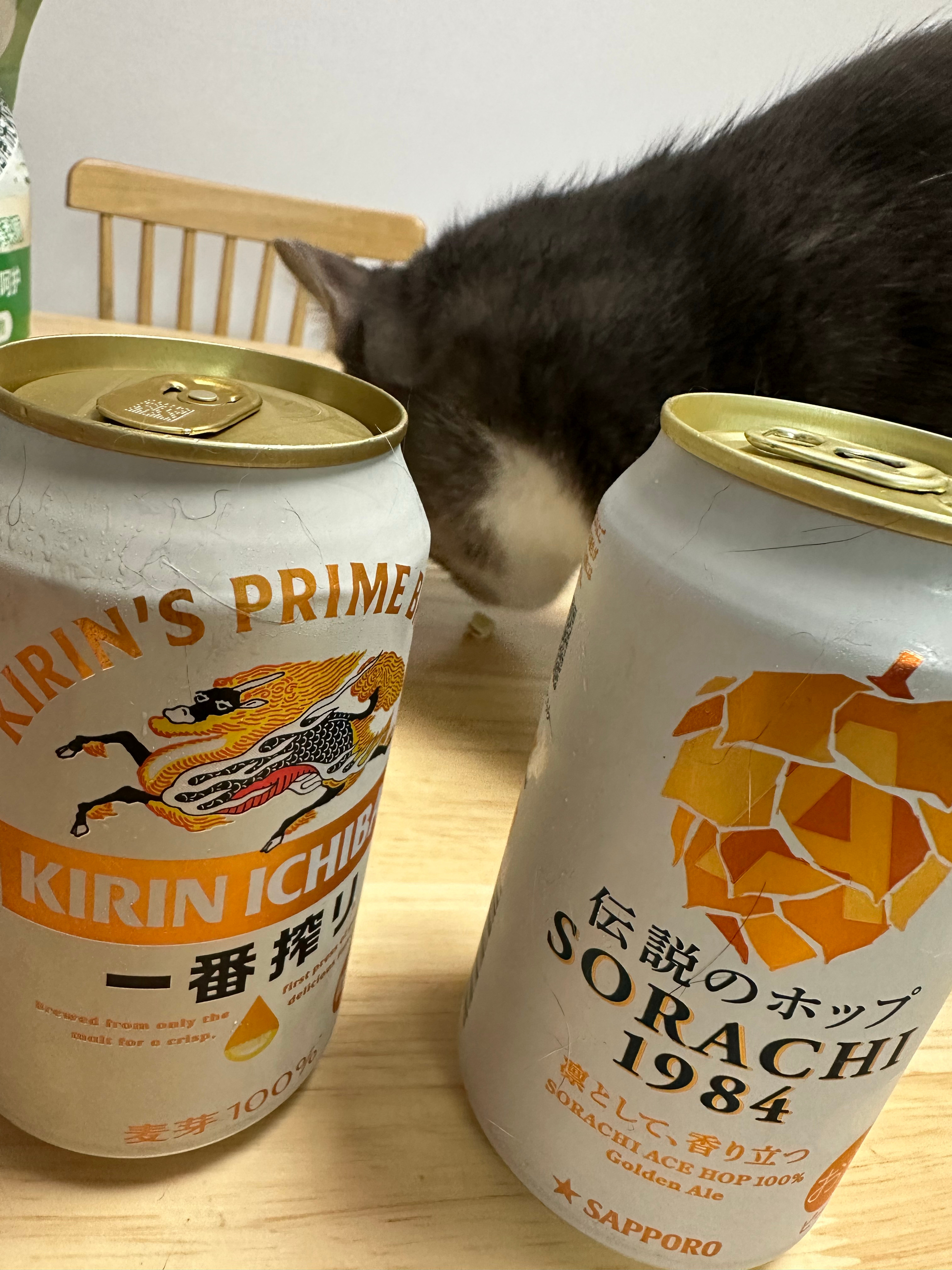 猫毛凶猛 