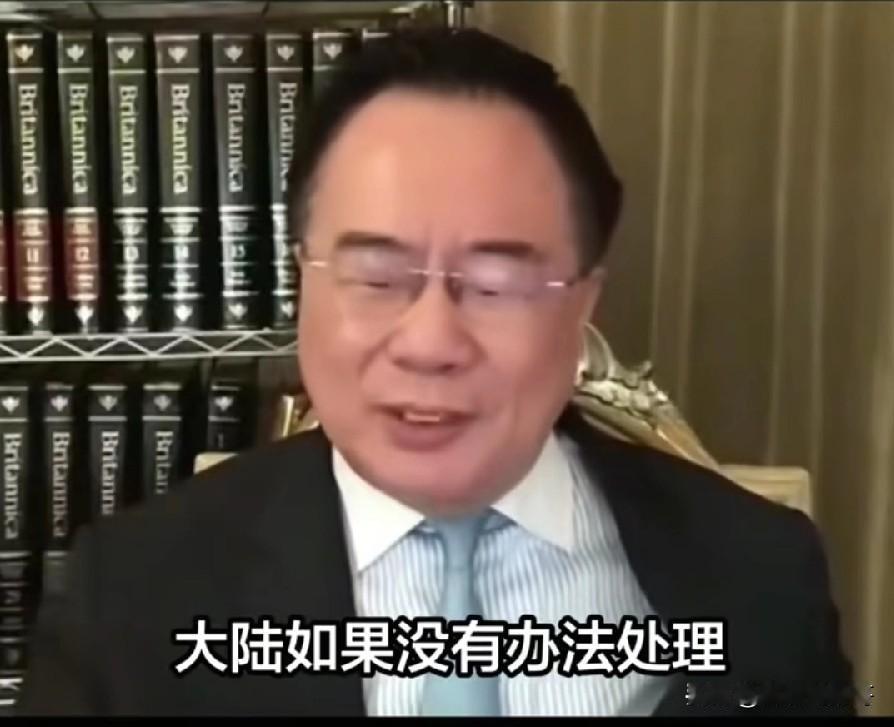 蔡正元有一种恨铁不成钢， 支持统派的高金素梅被抓 ，蔡正元在节目中这样发牢骚:高