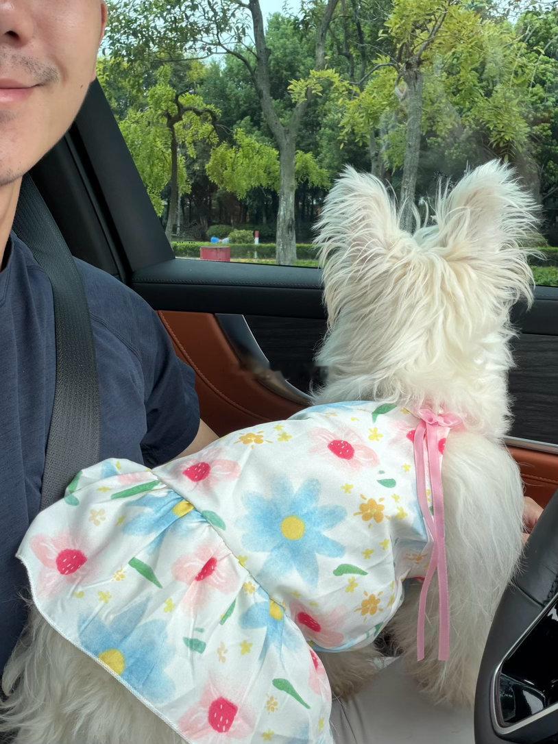 闺女喜欢爸买的小裙子不 ​​​