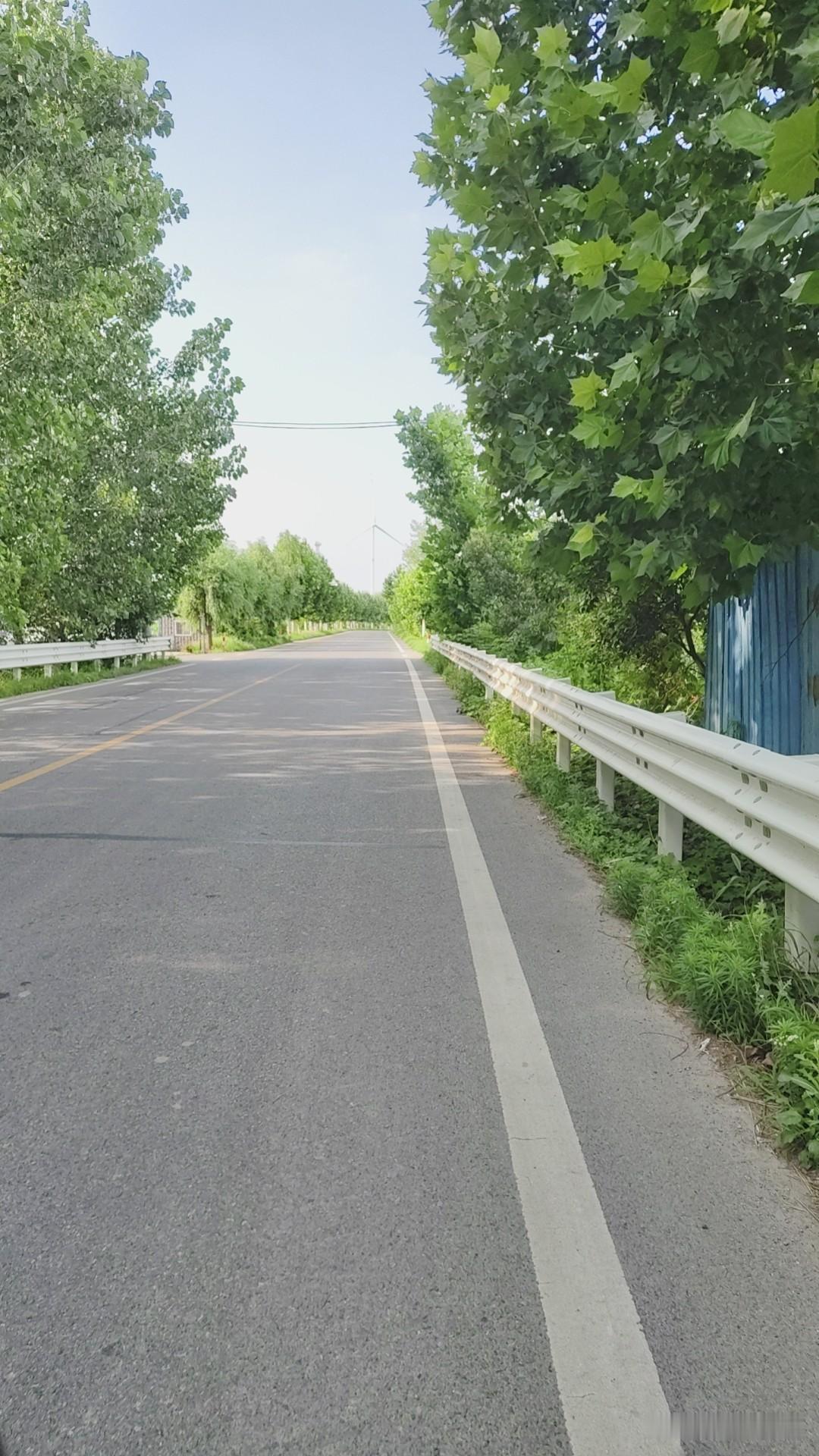 晒图笔记大赛夏日的苏北公路，美如画