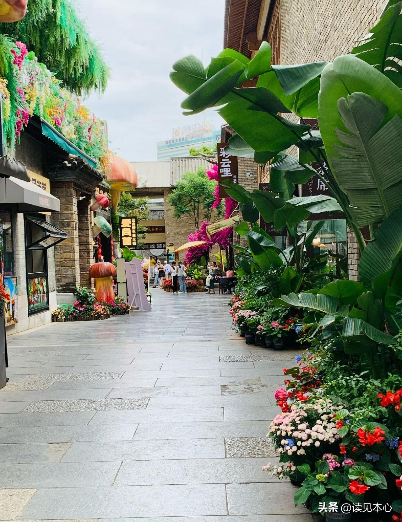 人活着要永远记住这五句很现实的话。

第一句，永远不要对任何人太好，因为人心都是