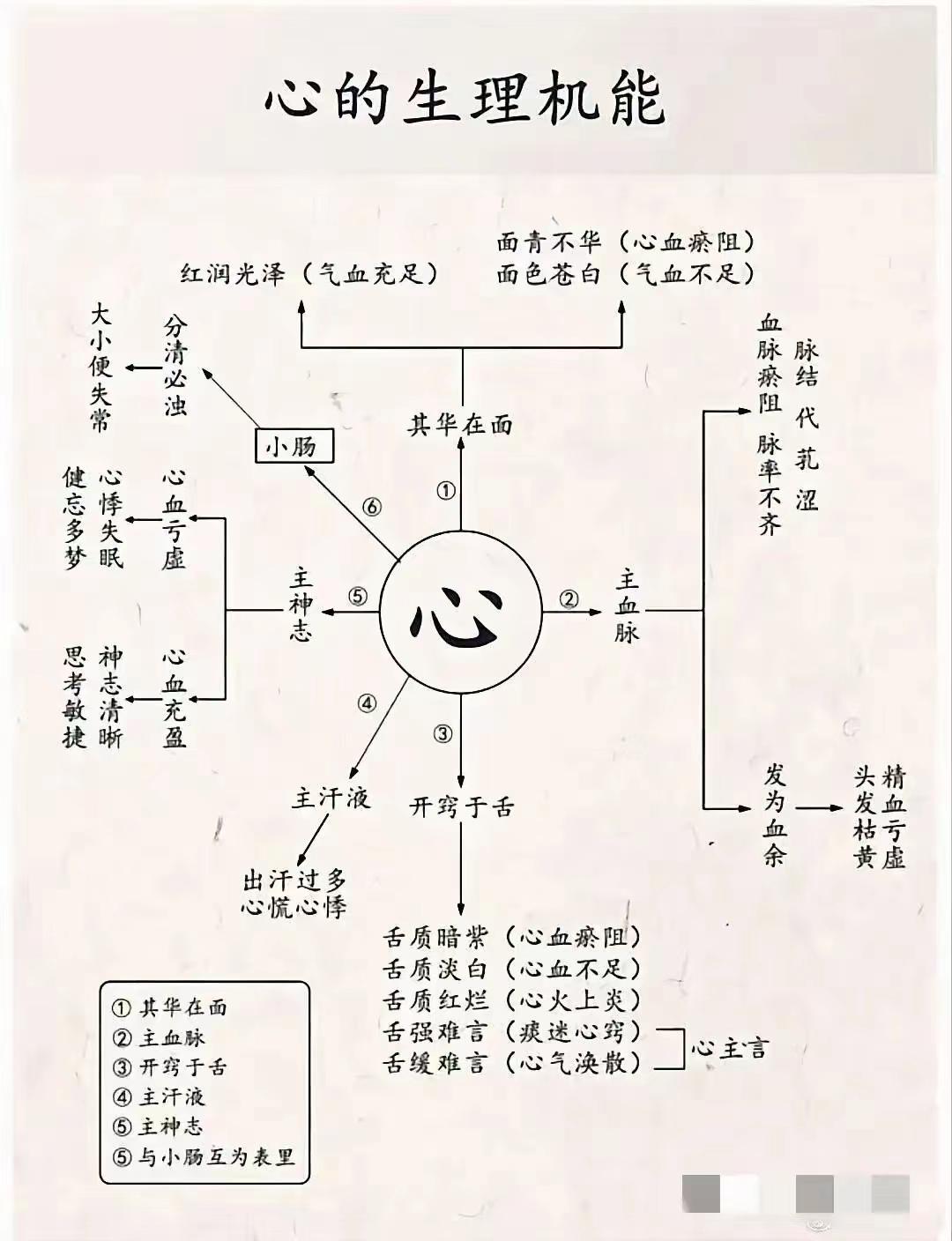 五脏的生理机能，各自都有怎样的症状表现？喜欢中医的朋友，一定要记得收藏![给力]
