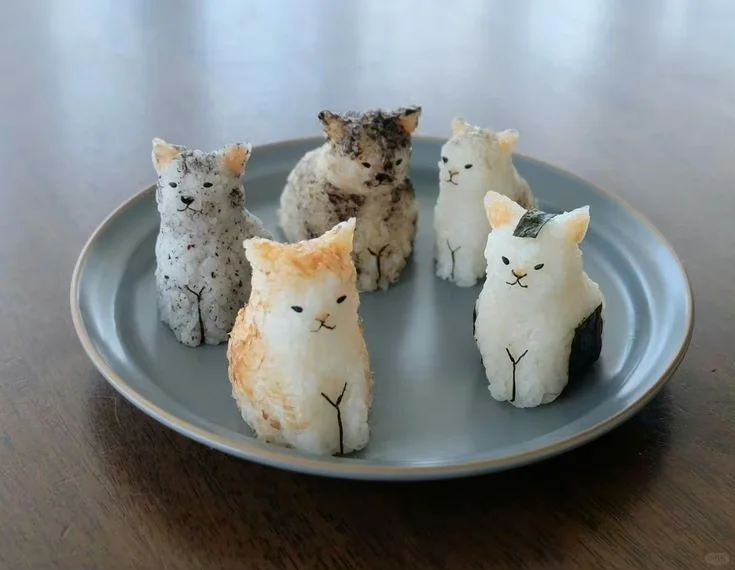 猫猫饭团