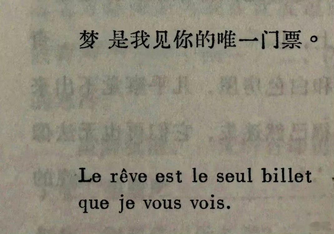 “救命，好喜欢这句😭” 