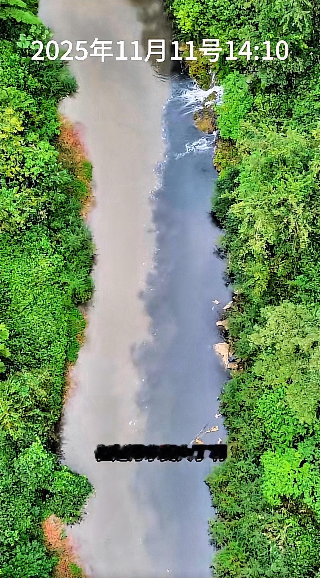 上午污水水量变小变没有，下午又突然变大。南川区政府得尽快找到排污源头，孝子河河水