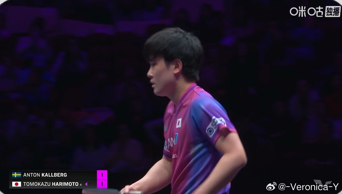 纸盒1-1安东这把纸盒也醒了 