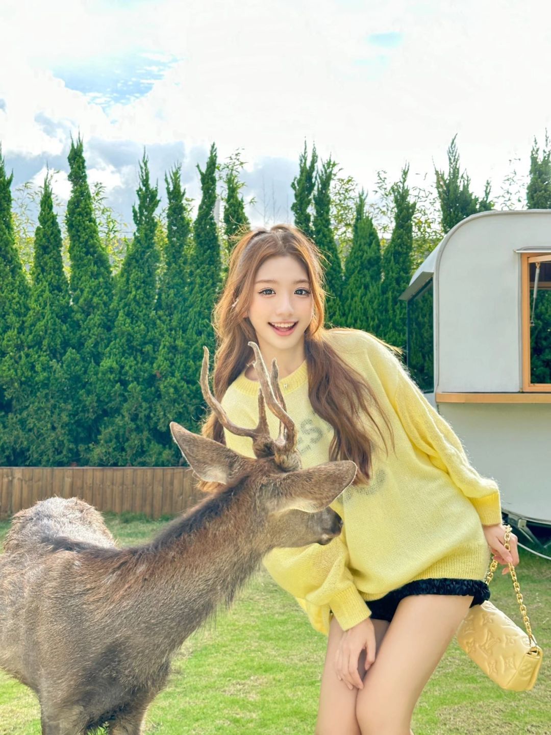 在深圳！也能和小鹿贴贴🦌附游玩拍照攻略