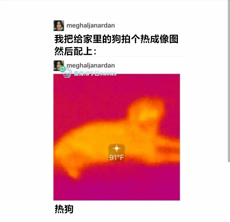 那确实（9gag）哎呀 ​​​