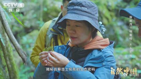 比恐龙还老的苔藓把石头变成了土苔藓竟比恐龙还年长 没想到苔藓比恐龙还年长呢！在植