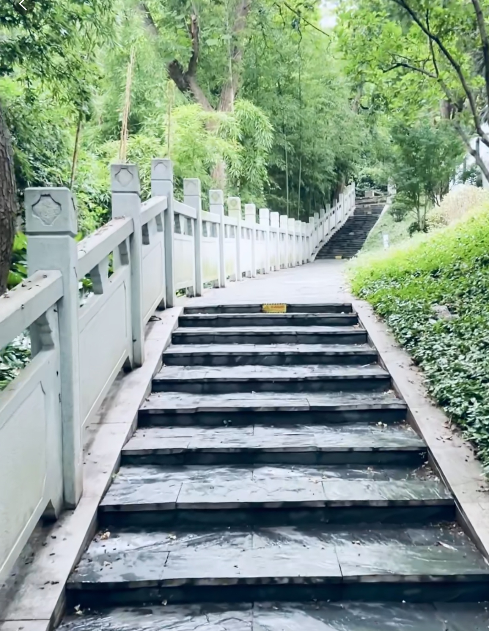除了蚊虫多一点，感觉蛮好的 