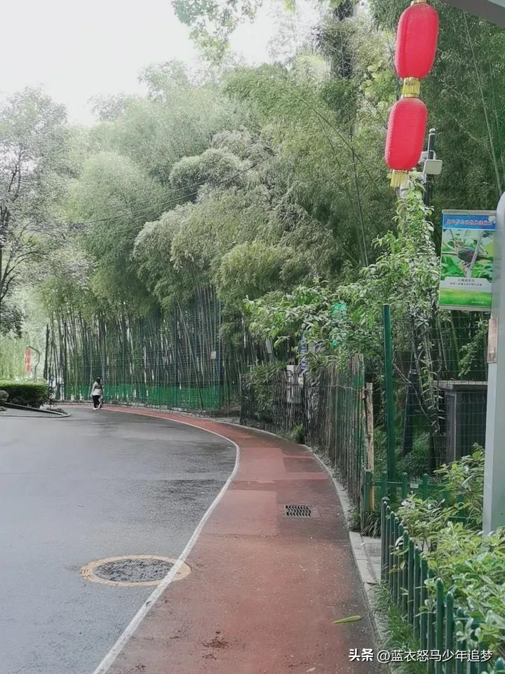 晒图笔记大赛长乐公园竹林[比心]