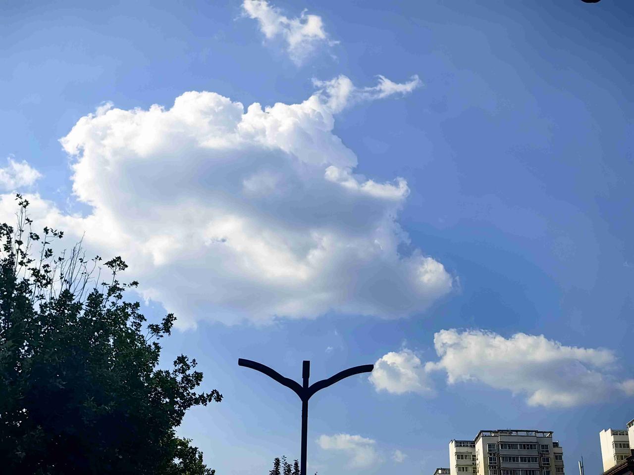 我的今日状态：🏃‍➡️运动
我这里的天气：🌤️多云