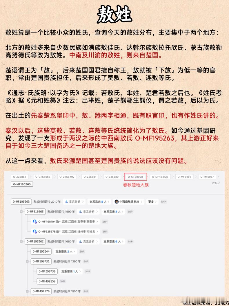 【基因揭秘：传承数千年的楚国姓氏】这其中不仅包括其在战争、军事上的搞事能力，也包