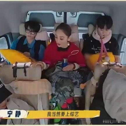 宁静太敢说！刘嘉玲追问拍戏还是综艺，她果断选后者，理由超清醒
 
《一路繁花2》