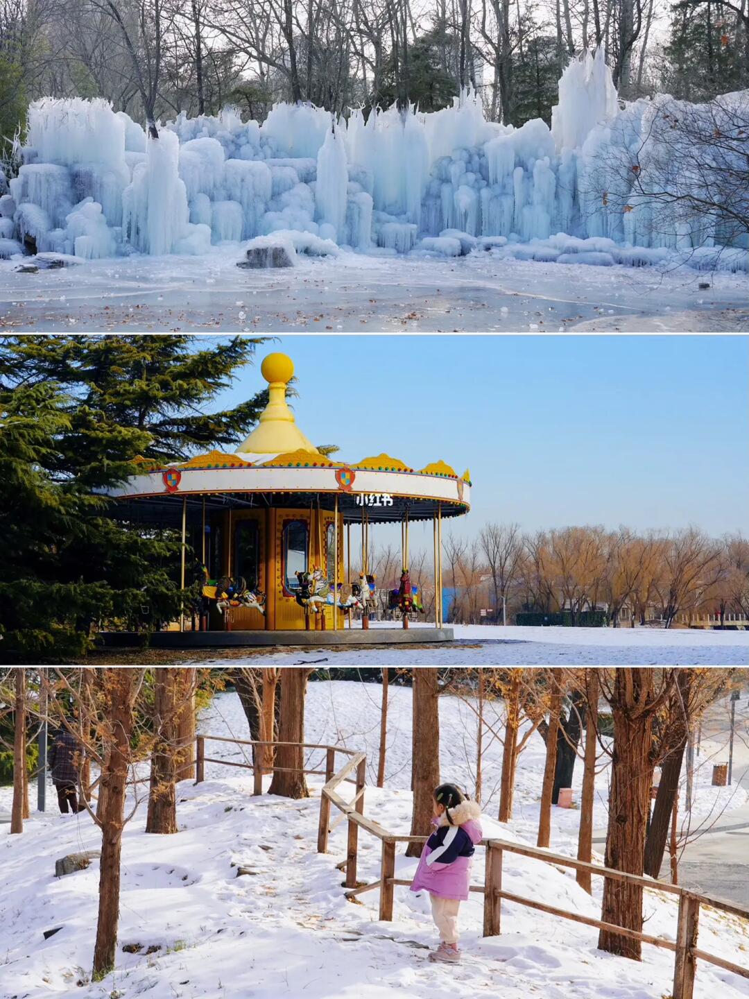 12.26北京冰瀑好壮观❄️萌宠相伴遛娃免费❗️