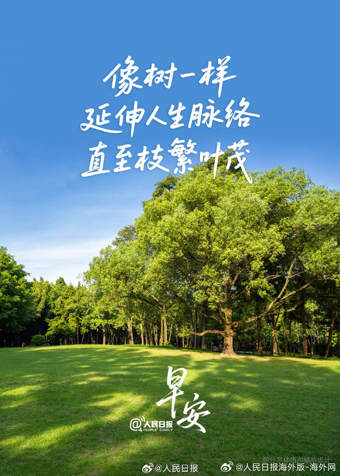 #向海外朋友问好# 【#像树一样不急不躁向上生长#】它接得住阳光明媚，也经得住风