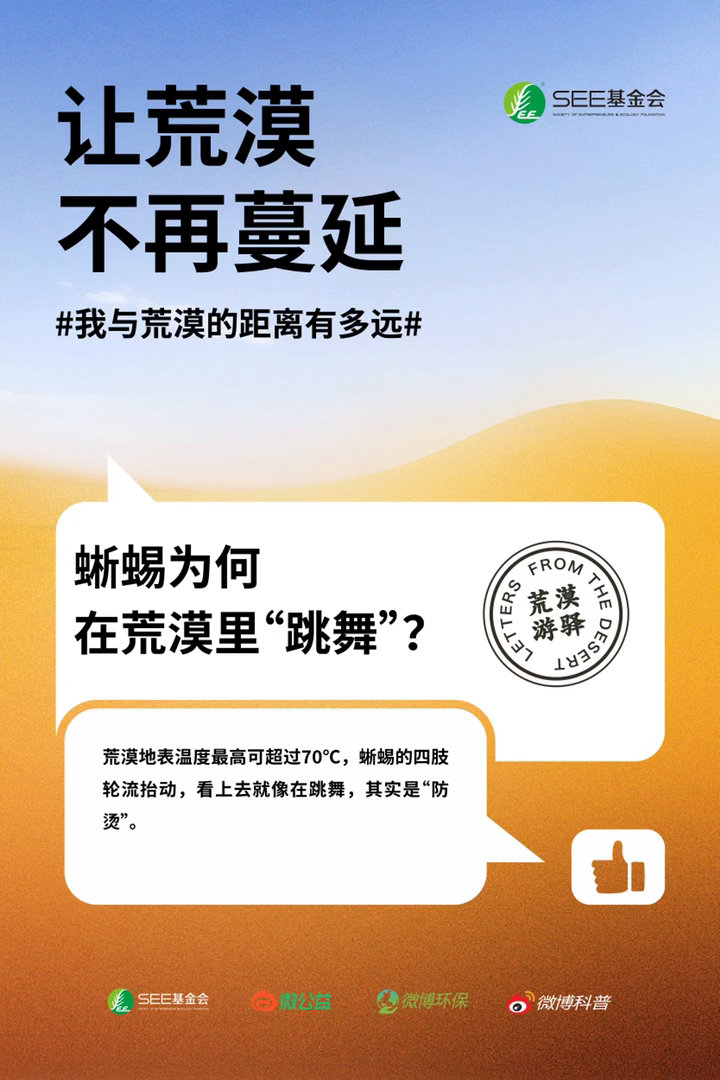 原来荒漠不只是风沙与荒芜，它也有植物、动物，还有正在发生的生态故事。617世界防