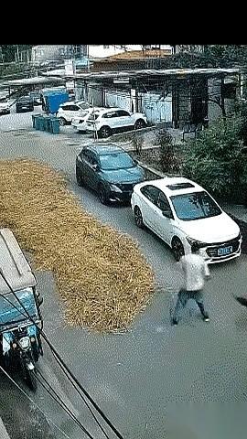 一条好好的柏油路，被人铺满了金灿灿的粮食，一眼望不到头。
一辆小车远远开过来，速