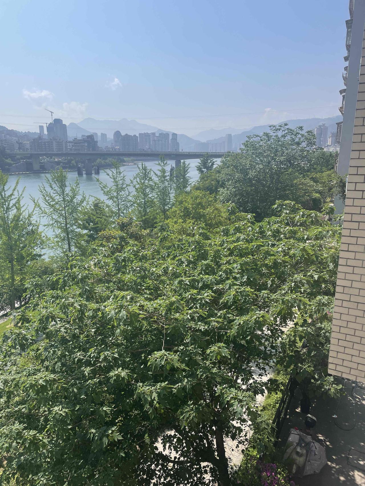 一件小事
小区楼栋旁边种有树木，平时感觉离的较远没什么影响。
前段时间，因为大风