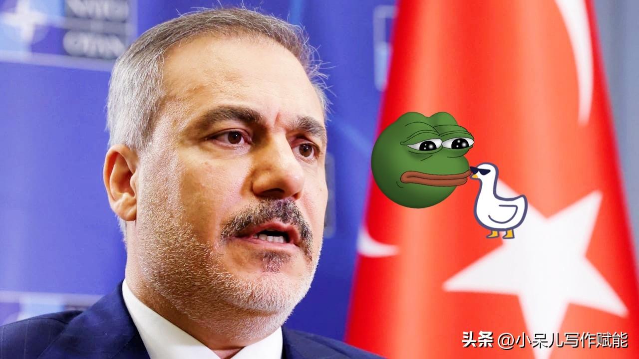 就在刚刚
土耳其传来重点消息！

11月3日，土耳其在伊斯坦布尔拉响“集结号”，