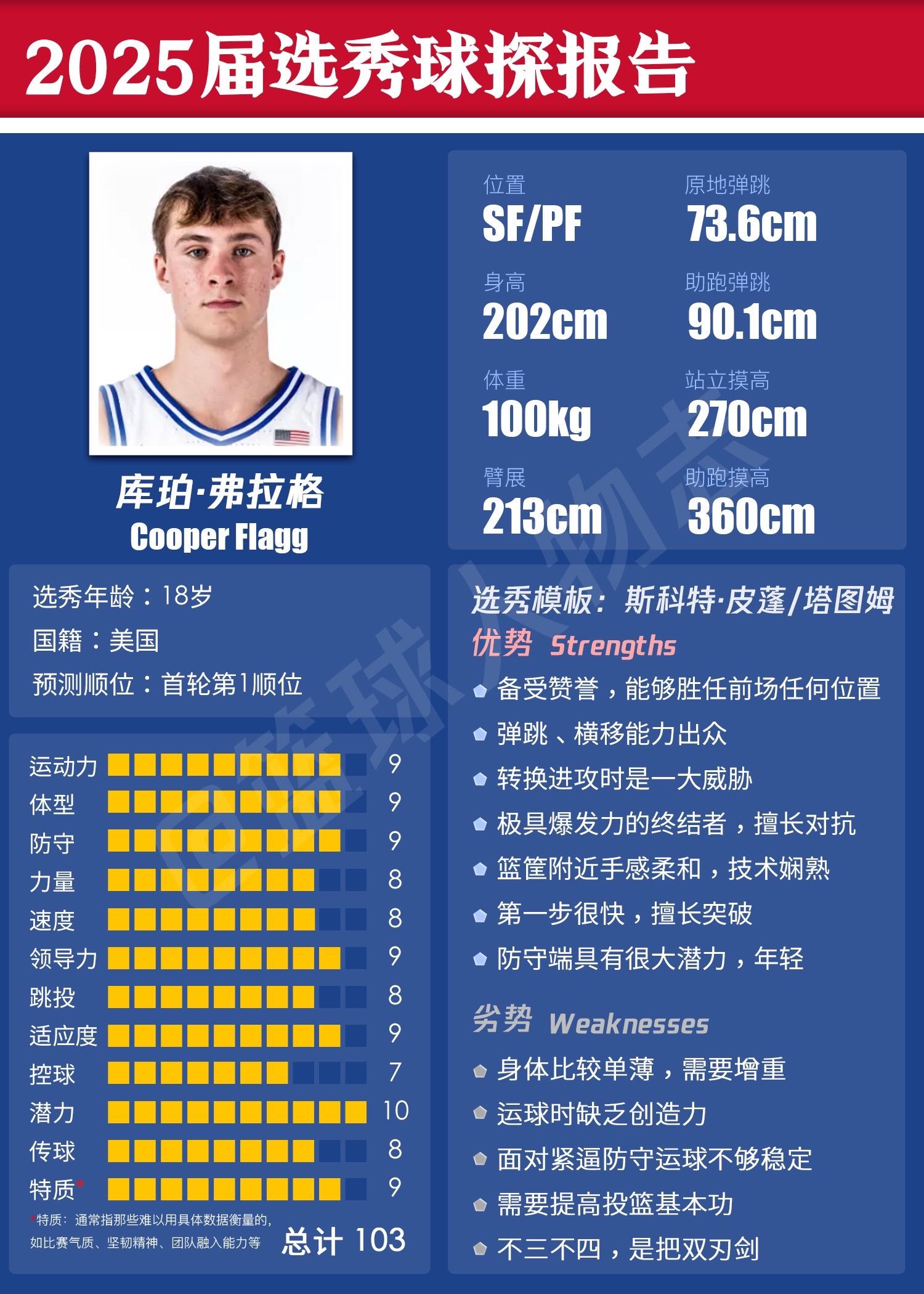 NBA2025届选秀球探报告。大胆来预测一波！独行侠下一年能否起势？小...