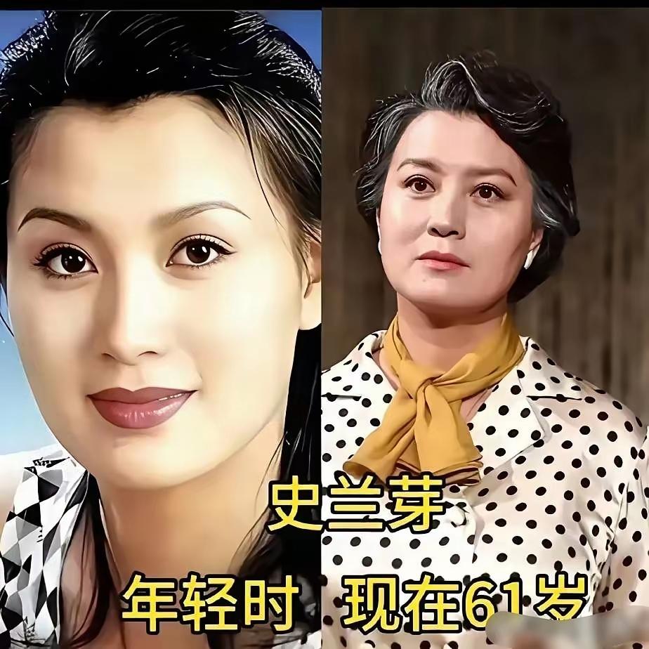 她们气质各不相同，或温婉有底蕴，或干练有气场，数十年坚守演艺之路，用心诠释不同角