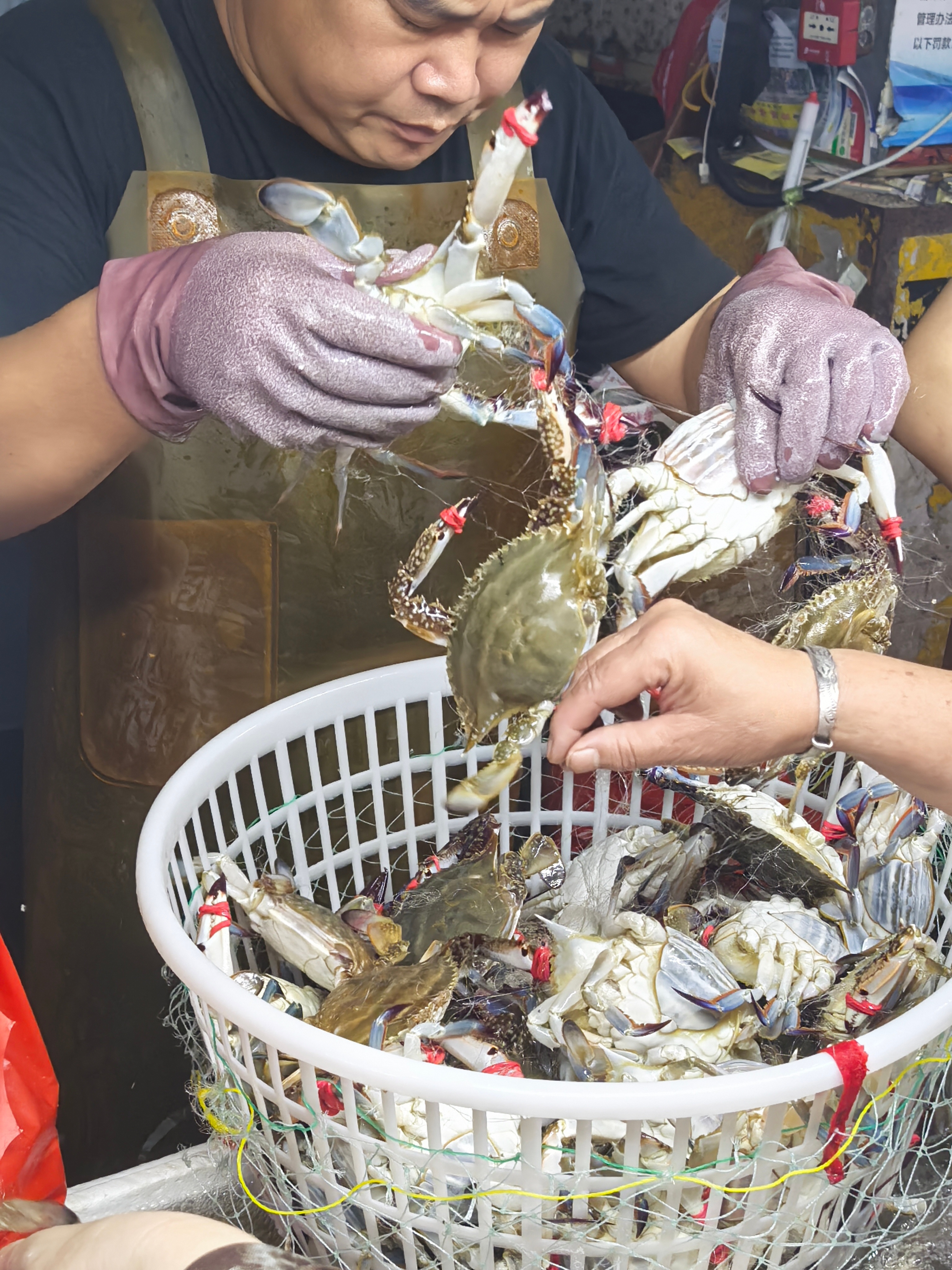#大闸蟹今年为啥卖不动了#大闸蟹不知道，昨天青岛的螃蟹🦀100元/斤八个头的大