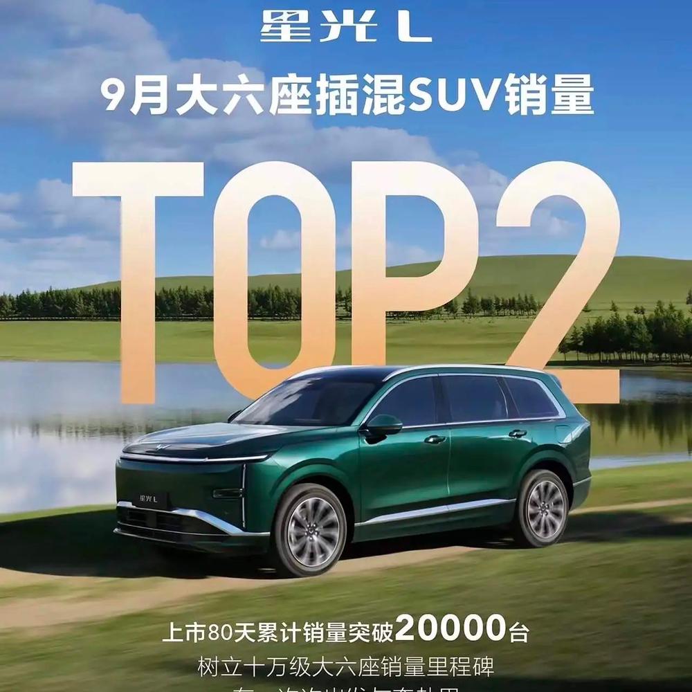 伤害性不大，侮辱性极强！科技狂人马斯克说纯电才是电车的终极形态，插混只能是过渡阶