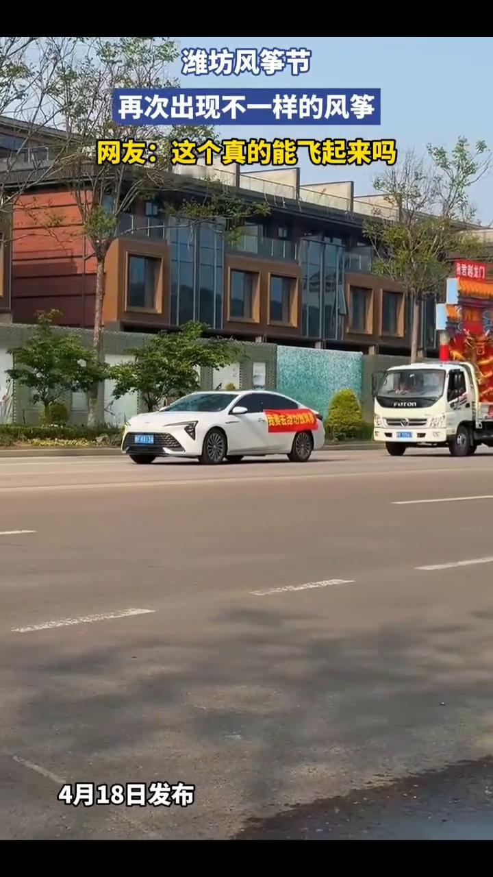 小狗狗，出发。