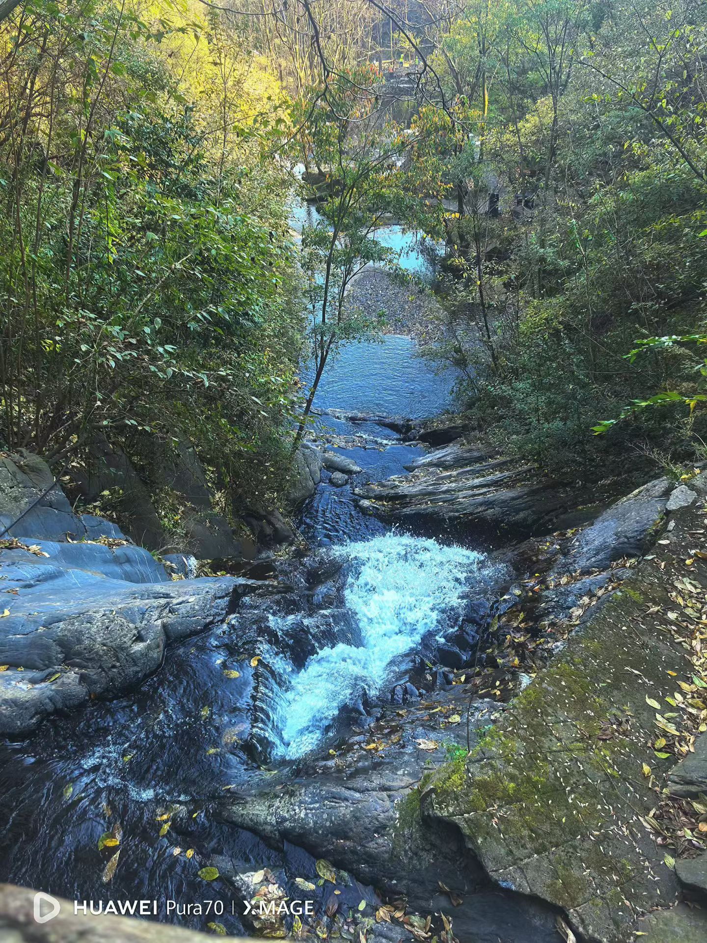 微博young派对🌲春日许愿池许愿春日出发，捕捉山林间的春日治愈风景，让美好随