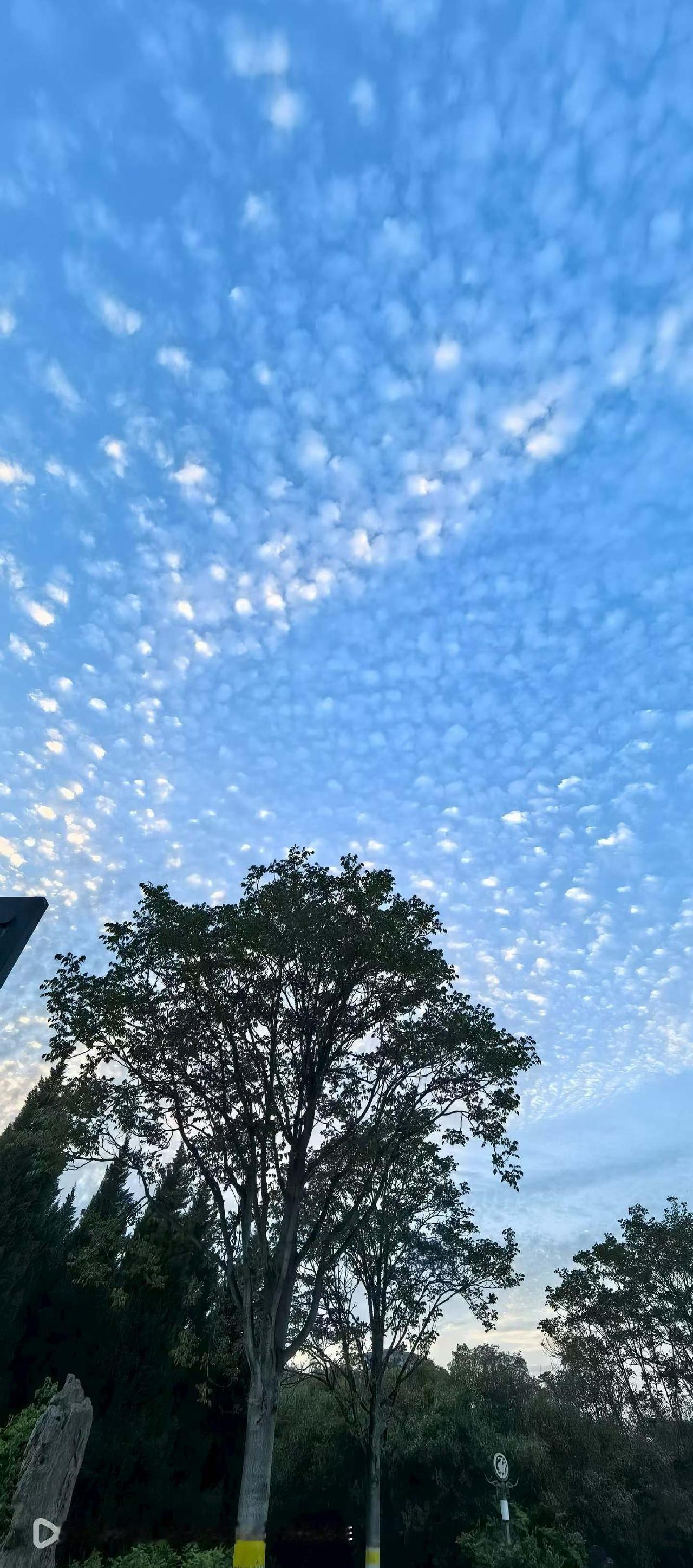 今天是四月十二日，是北方难得一见的晴空万里！

晴空一鹤排云上，便引诗情到碧霄。