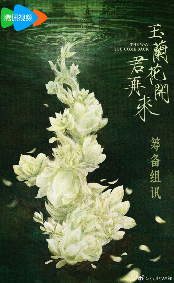 女性励志传奇剧《玉兰花开君再来》筹备中。该剧由腾讯视频、晟喜华视出品，金色传媒联