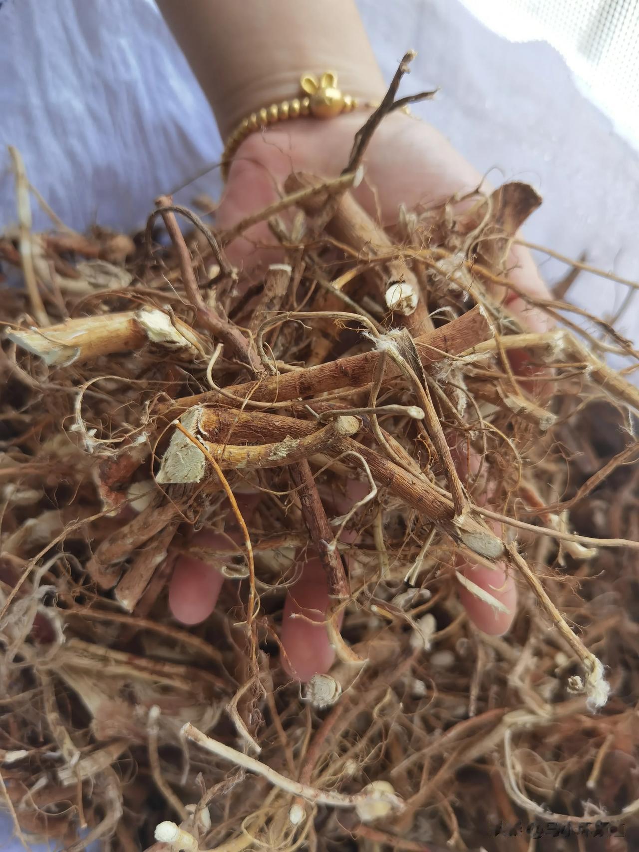 老是有朋友买回去拿市场上的货和我们的五指毛桃作比较，有说我们的颜色不够漂亮不均匀