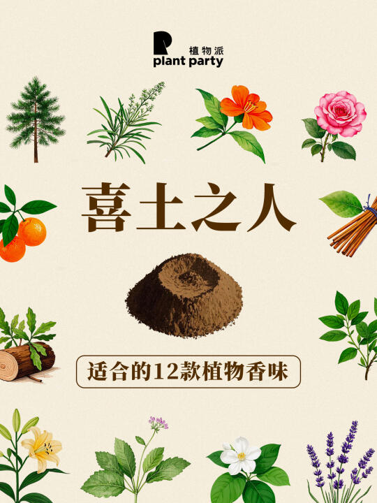 香味玄学 !!喜土小伙伴看过来!!