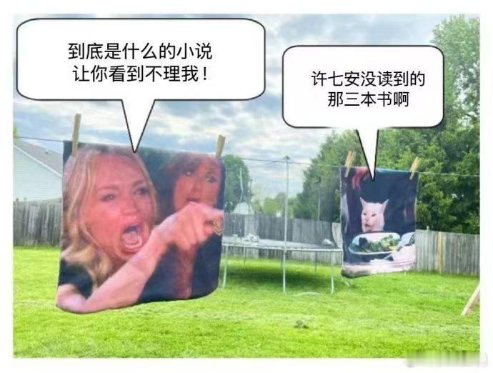 许七安读不上不代表我读不上  王鹤棣的书单，是我人生的灯塔，许七安的遗憾，我来点