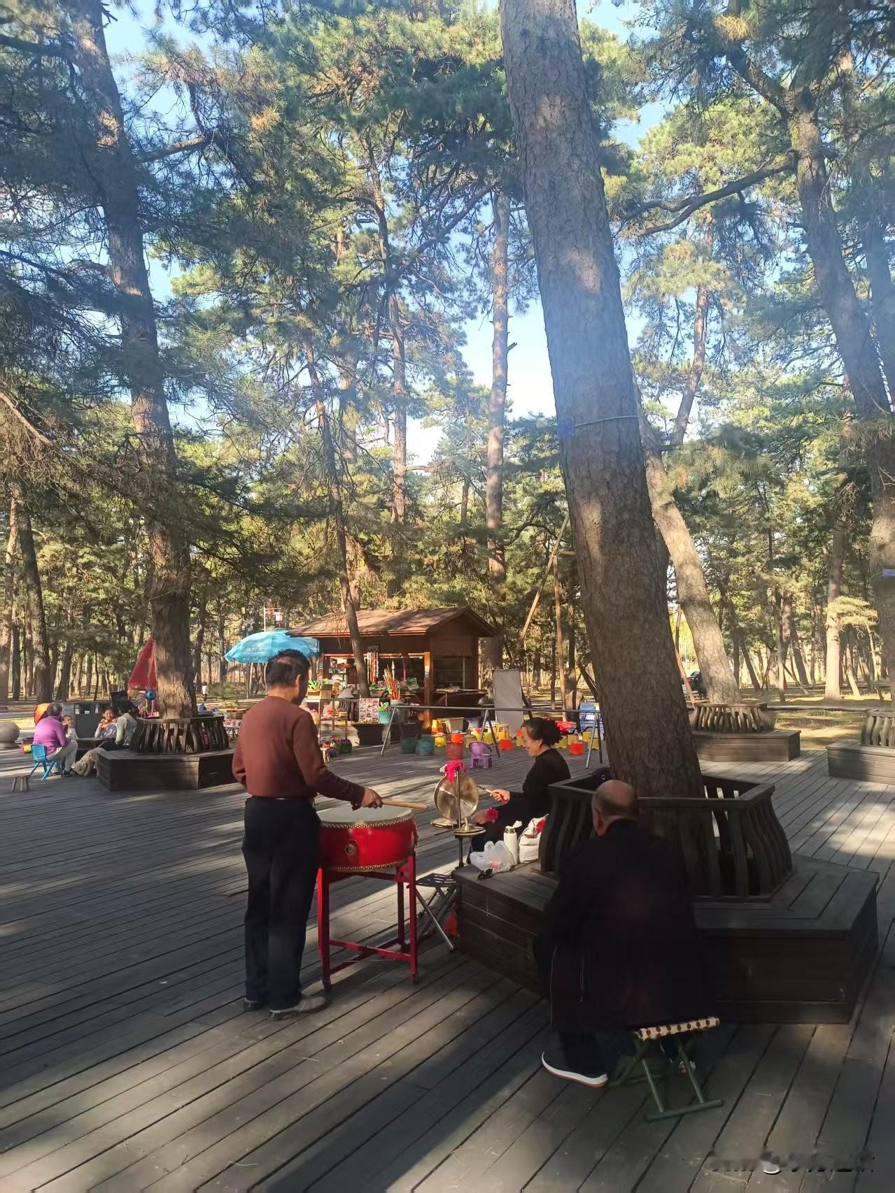 保定笔记：西陵古松林广场（上）
 梁东方
哈代有长篇小说《林中居民》，写原始森林