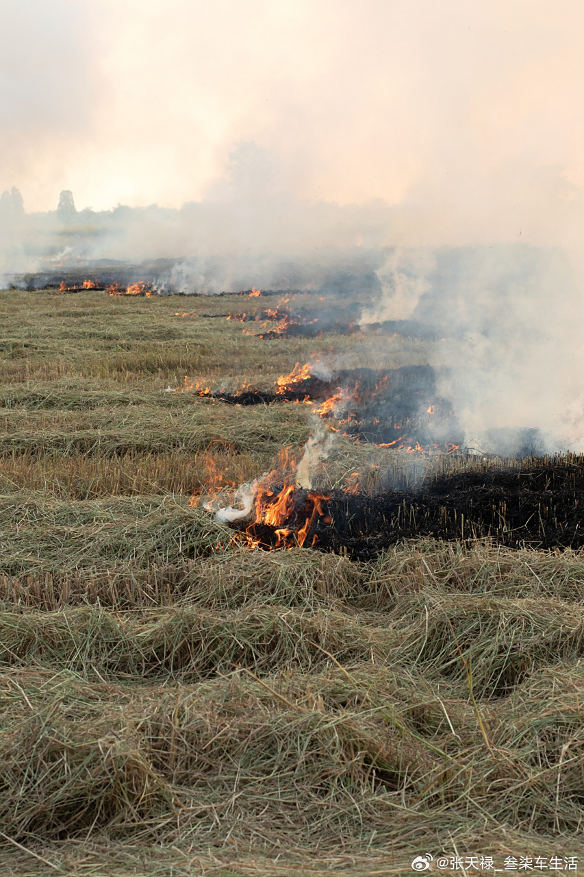 央视调查烧秸秆屡禁不止到底烧好还是不烧好