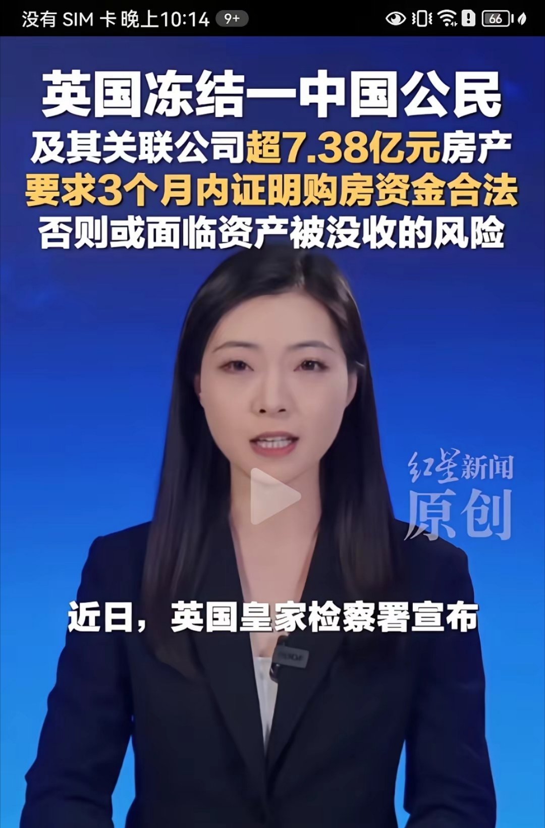 进了猪圈的猪终于等到了被宰杀的那天 