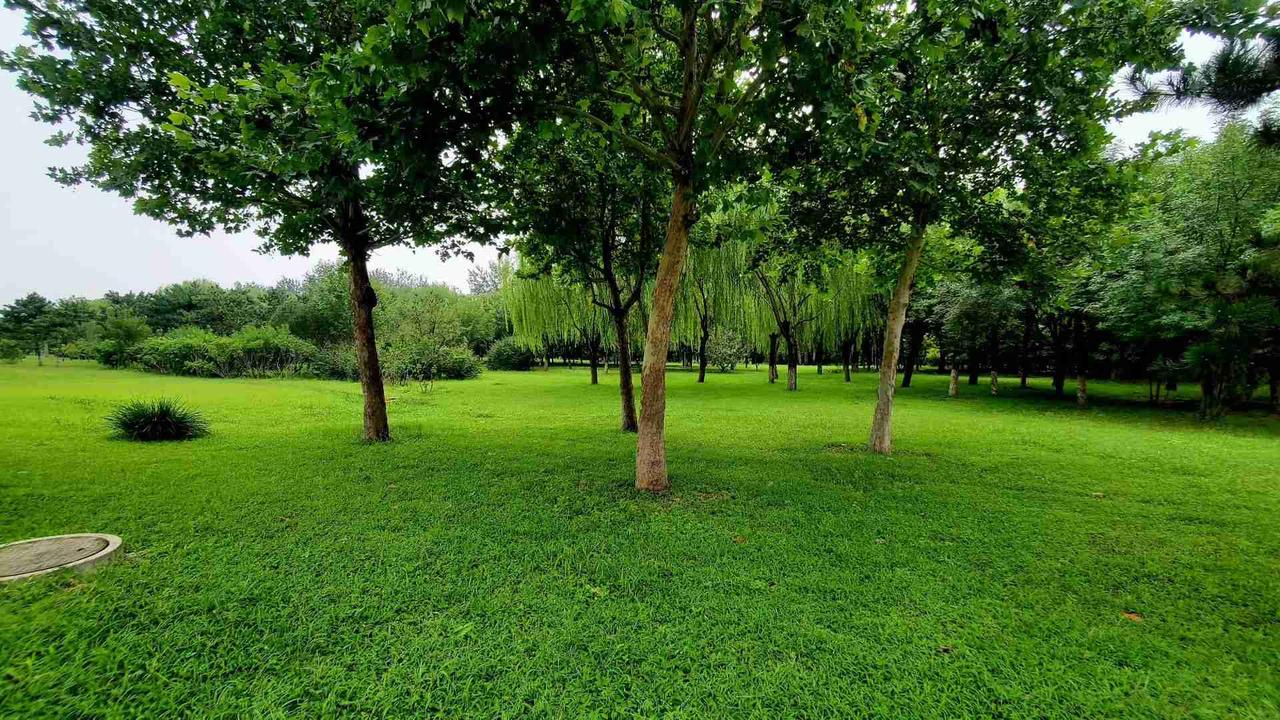 我的今日状态：😁轻松愉快
我这里的天气：⛈️雷雨
经过大地震的唐山人怎么样 