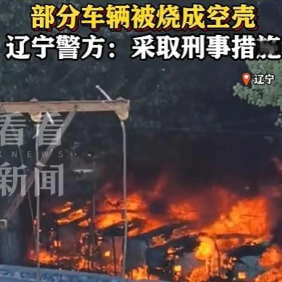 看待老人烧杨絮引燃车辆事件
 
近日，大连一名七旬老人因嫌路边杨絮堆积影响通行，