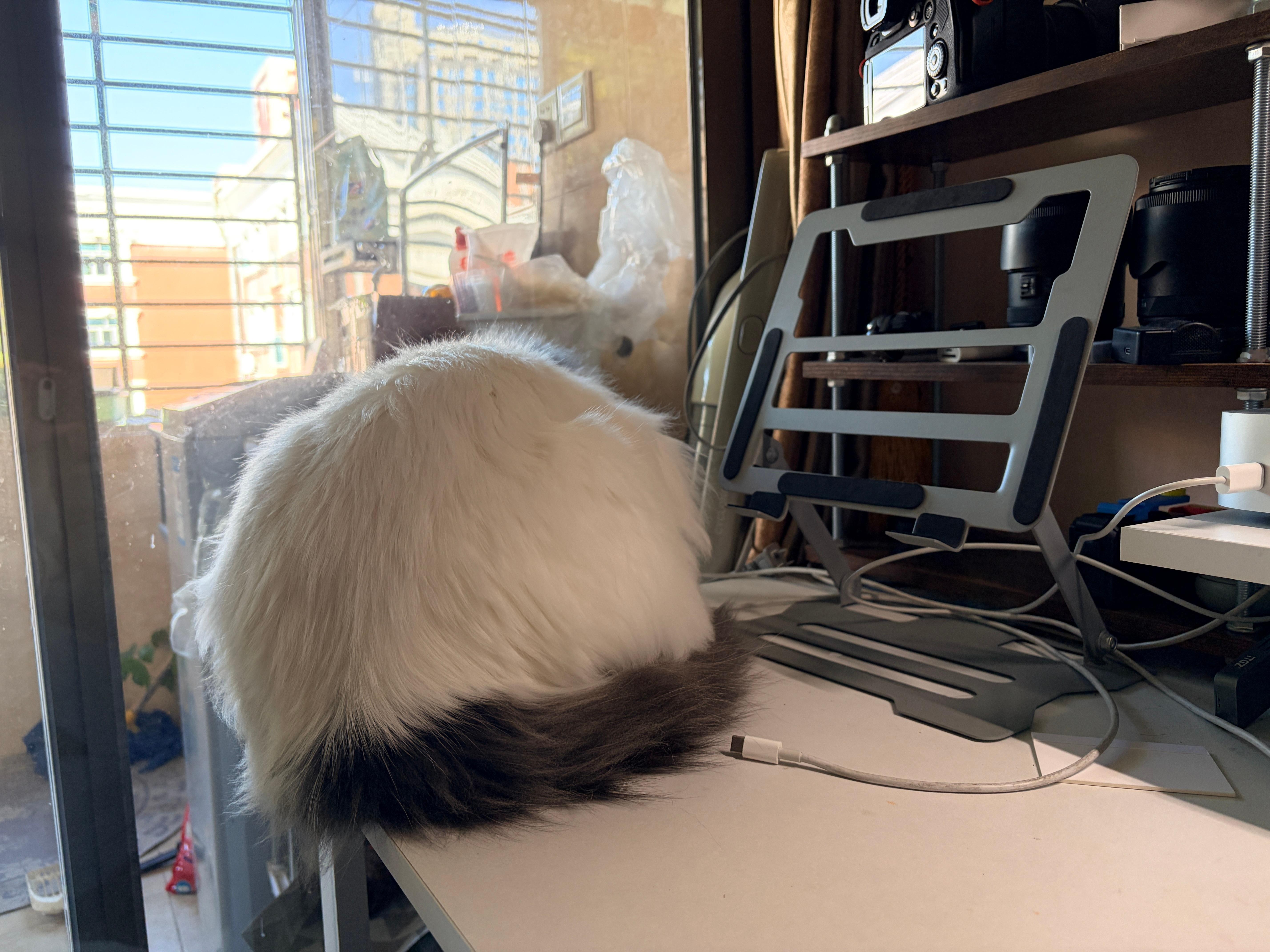 它像一座山⛰️ 