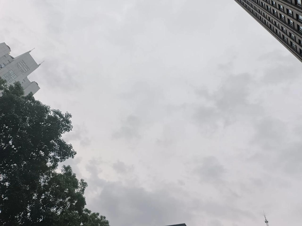 洛阳，6月18日。
早上起来是真热，七点温度直接飚到32度，还特别闷热。
抬头看