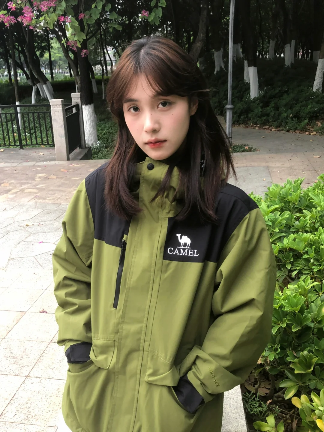 绿色心情小记 捡秋日