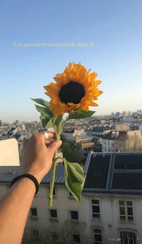 日子常新，慢慢亦灿灿，一切都在来的路上。